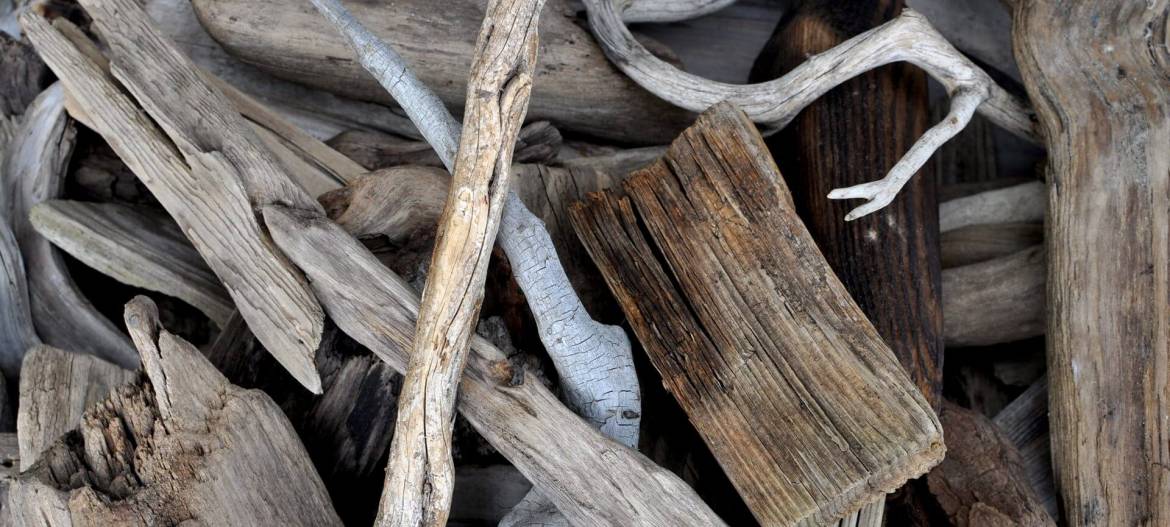 startseite_slider_treibholz_rohlinge.jpg