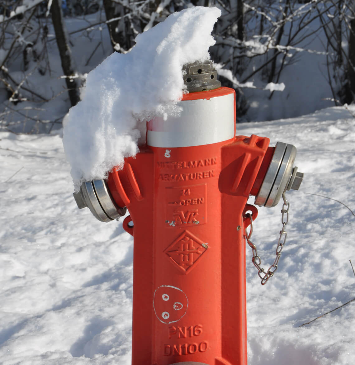 galerie_winter_wollmatingen_hydrant.jpg